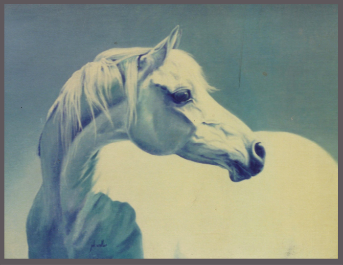 blue horse