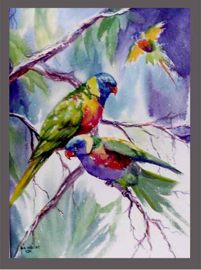 lorikeets